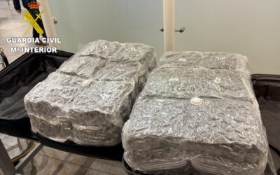 Detectada al Prat una nova ruta internacional de tràfic de marihuana procedent de Tailàndia