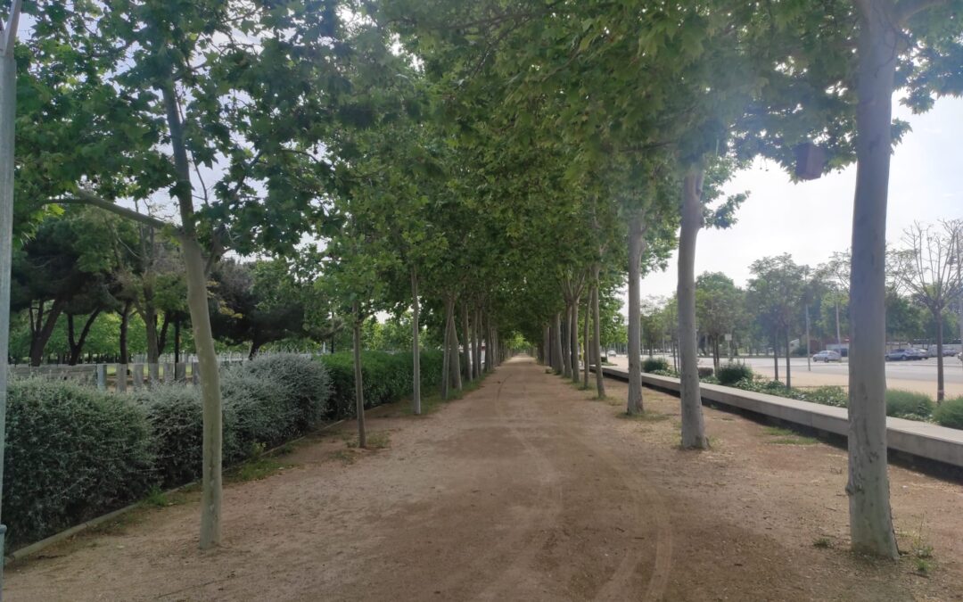 Postals del Prat