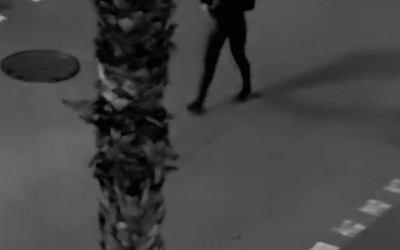 Nit de confusió i angoixa als Jardins de la Pau: un jove corre nu pel carrer demanant auxili