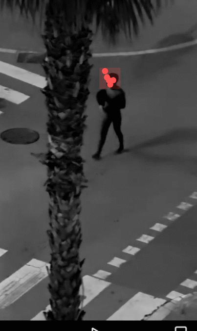 Nit de confusió i angoixa als Jardins de la Pau: un jove corre nu pel carrer demanant auxili