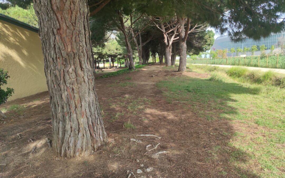 Postals del Prat