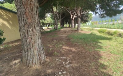 Postals del Prat