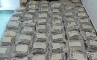 Nou cop a la ruta ‘Thaigreen’: vuit detinguts amb 180 quilos de marihuana a l’aeroport del Prat