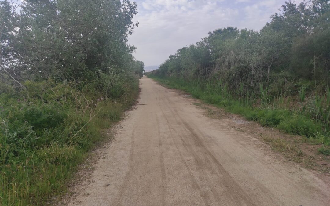 Postals del Prat