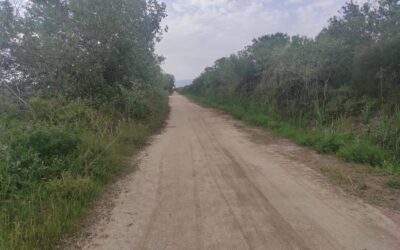 Postals del Prat