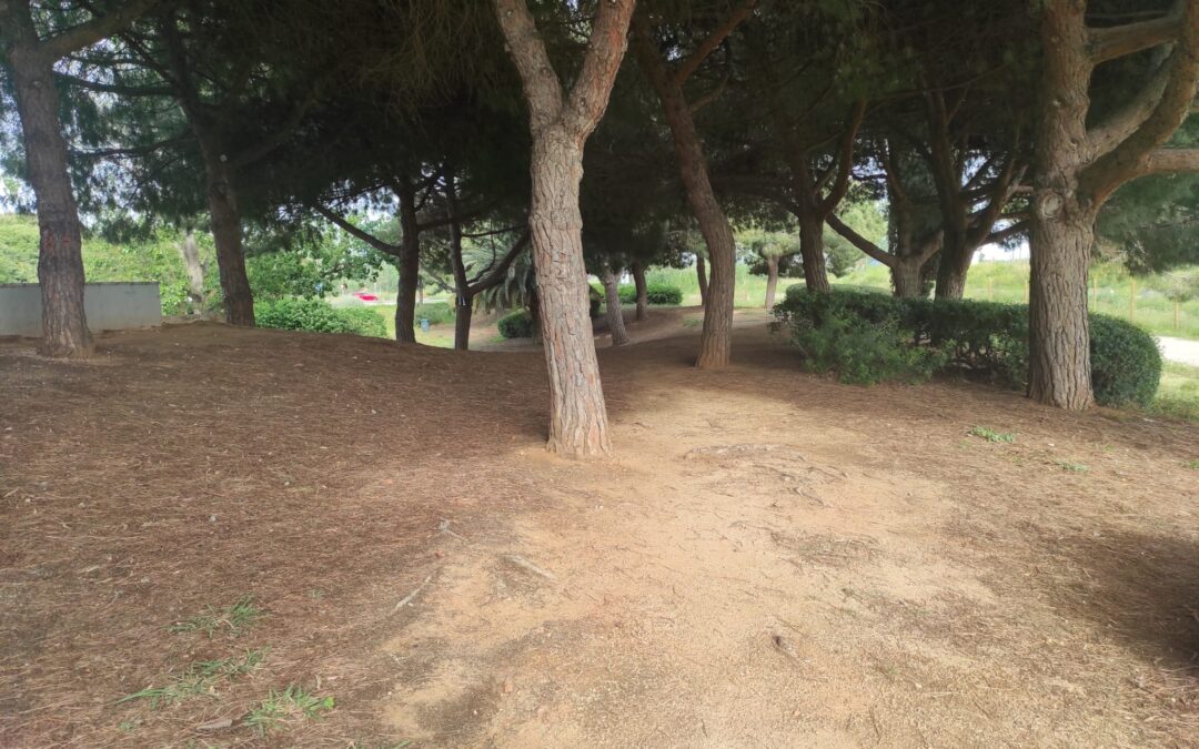 Postals del Prat