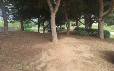 Postals del Prat