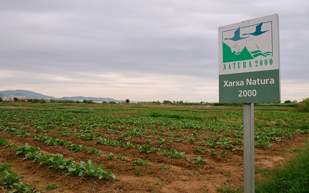 Unió de Pagesos exigeix solucions per a la pagesia afectada per la ZEPA al Baix Llobregat