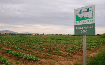 Unió de Pagesos exigeix solucions per a la pagesia afectada per la ZEPA al Baix Llobregat