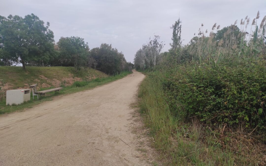 Postals del Prat