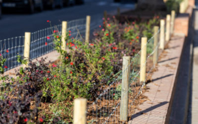 L’Ajuntament renova la vegetació al carrer Coronel Sanfeliu
