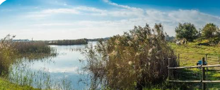 Els Espais Naturals del Delta del Llobregat reobren amb precaucions