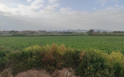 Postals del Prat