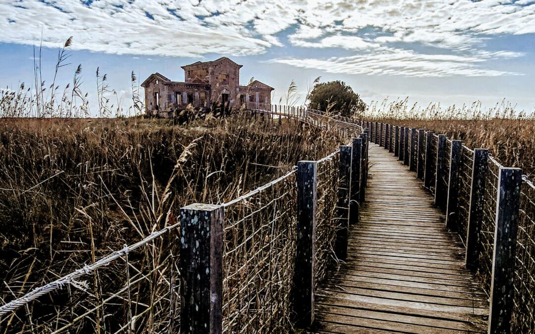 Postals del Prat