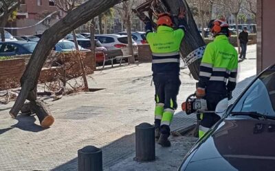Les ventades sacsegen el Prat i obliguen els serveis d’emergència a atendre centenars d’incidències