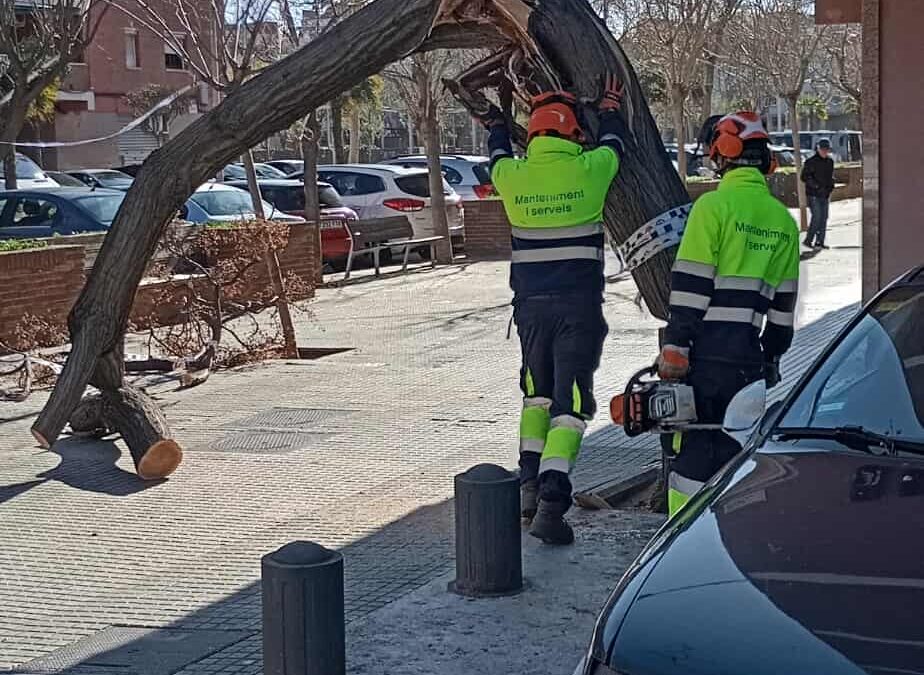 Les ventades sacsegen el Prat i obliguen els serveis d’emergència a atendre centenars d’incidències