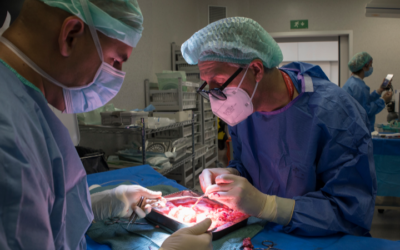 L’Hospital de Bellvitge consolida el seu lideratge en trasplantaments i donació d’òrgans a Catalunya el 2025