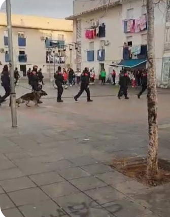Ampli dispositiu policial a la zona de Riu Cardener en un operatiu de prevenció del delicte