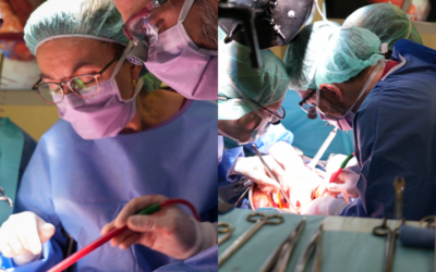 Bellvitge obre una nova via per operar tumors de pàncrees molt avançats