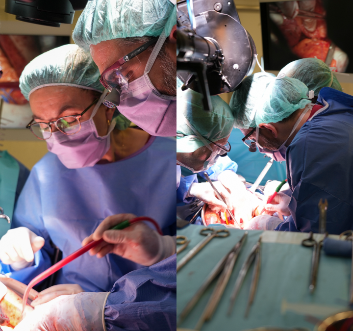 Bellvitge obre una nova via per operar tumors de pàncrees molt avançats