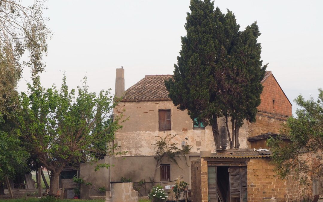 UNA MASIA RESSUSCITADA AL PRAT