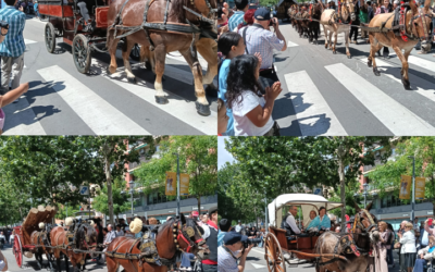 El Prat manté viva la tradició de la cavalcada de Sant Isidre malgrat la davallada de participació local