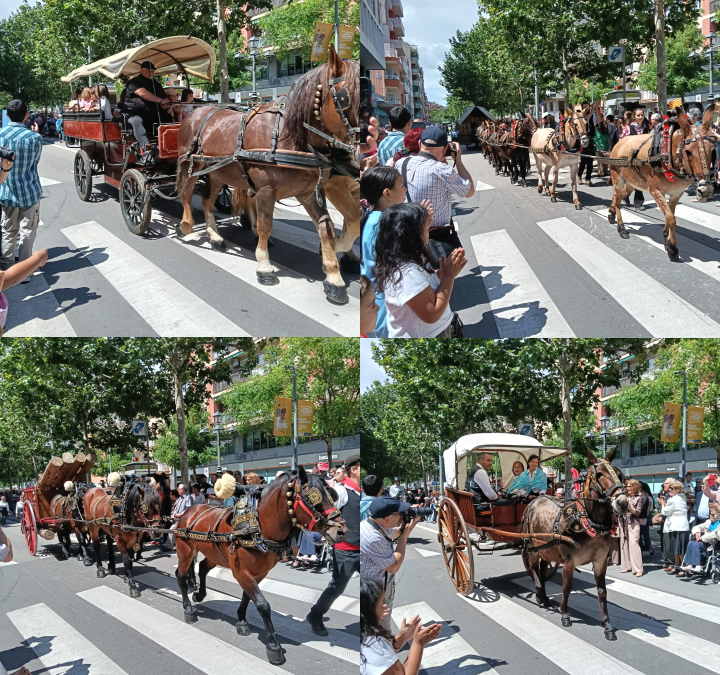 El Prat manté viva la tradició de la cavalcada de Sant Isidre malgrat la davallada de participació local
