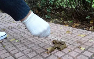 Gerard Valverde proposa un cens d’ADN caní per frenar els excrements als carrers del Prat