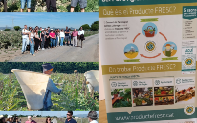 La Cooperativa Agrícola del Prat presenta el nou grup “P” a Can Comas
