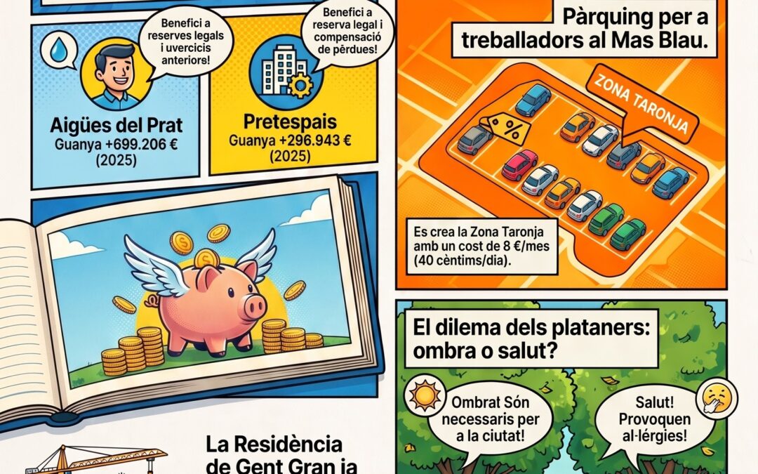Crónica del ple del mes de juny