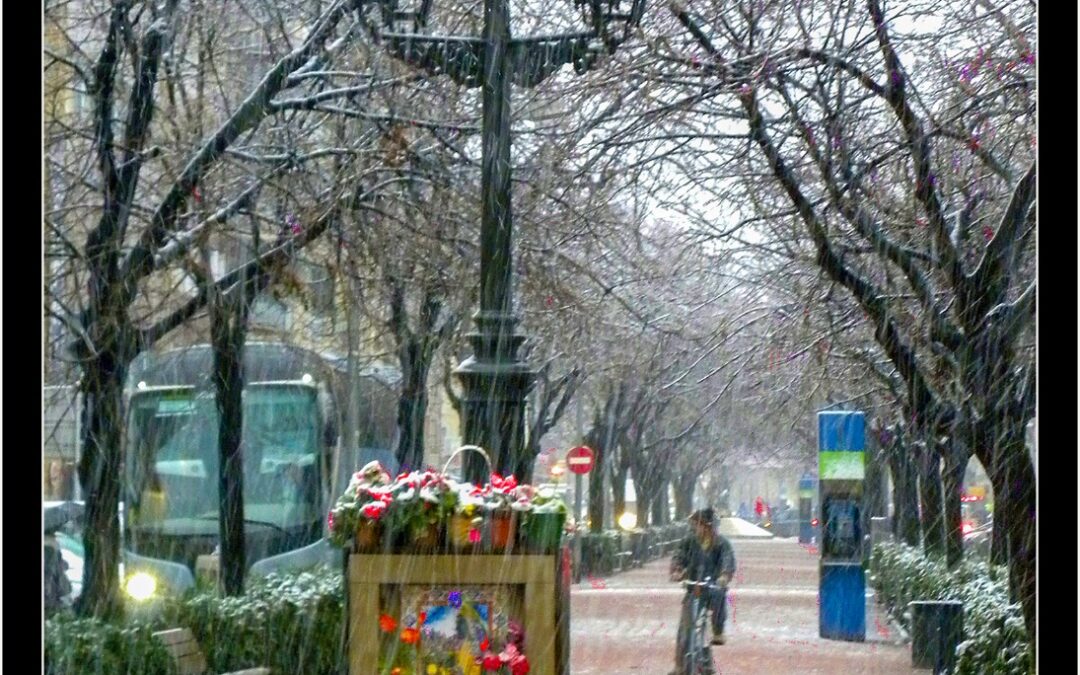 Postals del Prat