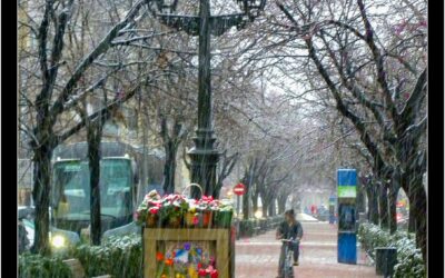 Postals del Prat