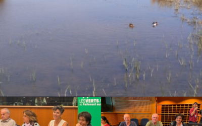 El front del Prat contra l’ampliació de l’aeroport es trasllada a Brussel·les amb alertes pel col·lapse ecològic del Delta