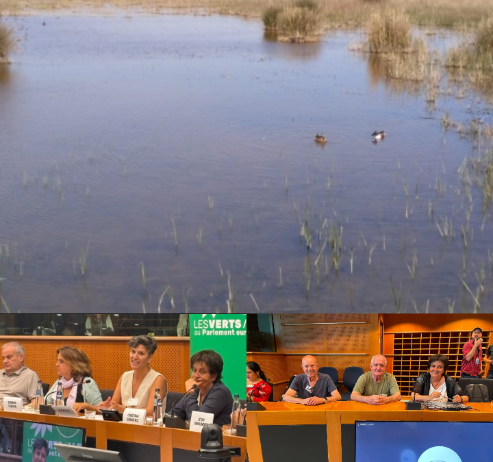 El front del Prat contra l’ampliació de l’aeroport es trasllada a Brussel·les amb alertes pel col·lapse ecològic del Delta