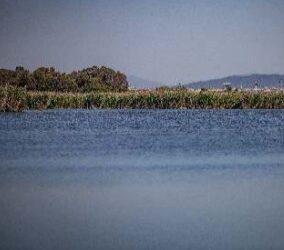 El Delta del Llobregat rep una nova bandera negra per la insistència a ampliar l’aeroport del Prat