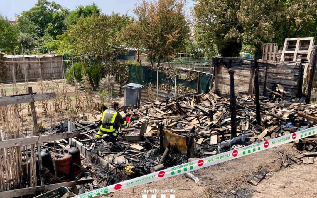 Detingut un home al Prat per provocar tres incendis forestals a la zona de les Palmeres