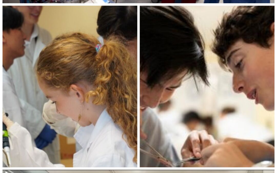 L’Hospital de Bellvitge crea un pacient virtual amb IA per entrenar joves talents de la medicina d’arreu del món