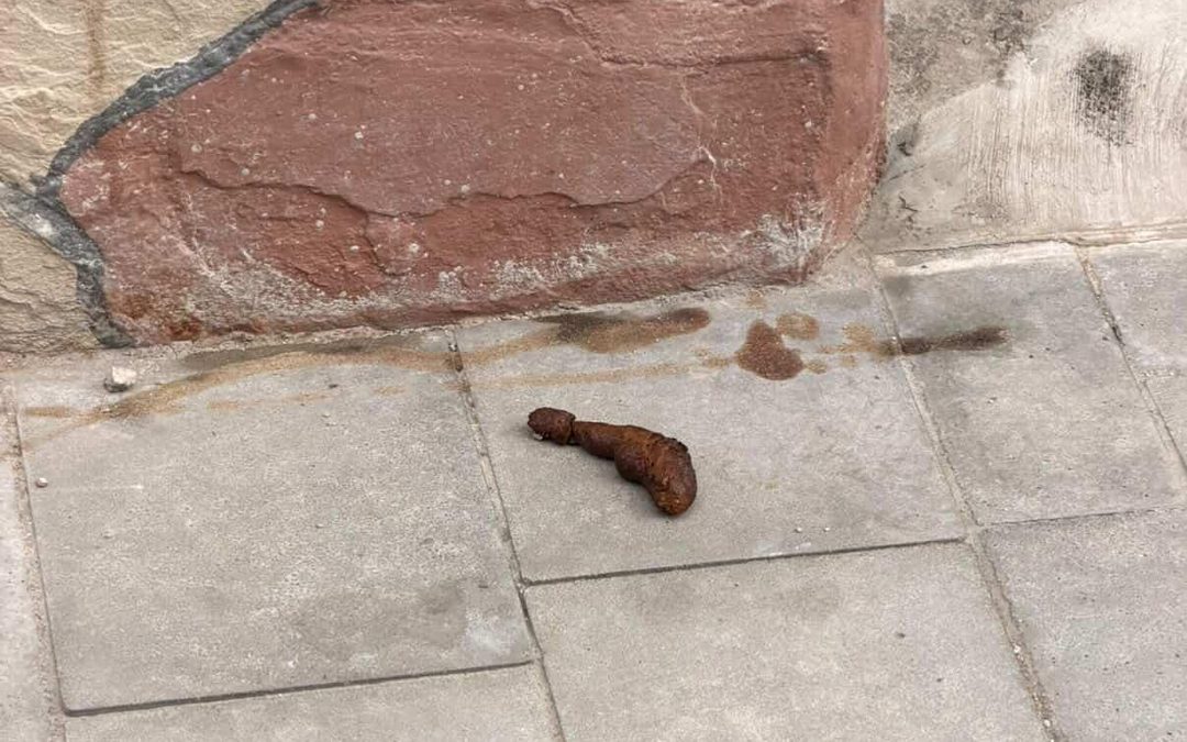 Vecinos de la calle Sant Boi denuncian la suciedad provocada por perros