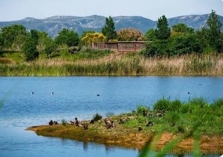 ​Aena mou fitxa al Delta: fons reservats per comprar terrenys abans de tocar la pista d’El Prat
